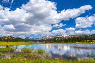 Beartooth Highway-7500.jpg